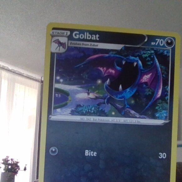 sofe - Picture 16 of 17